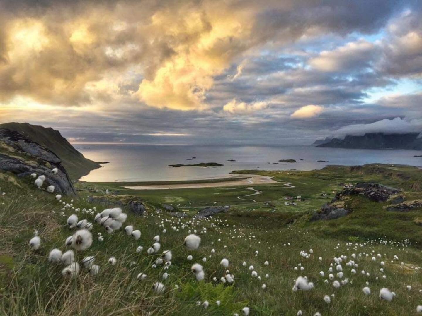 Fredvang Farm House - Lofoten Экстерьер фото